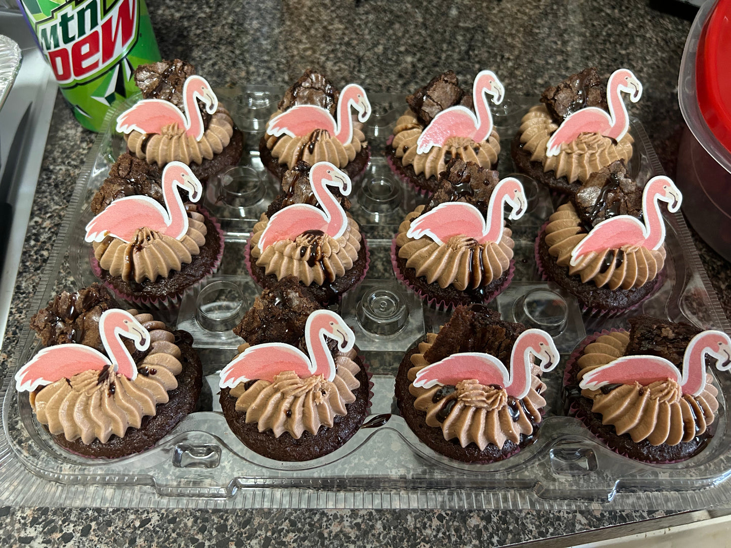 Premium Cupcakes